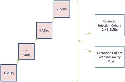 First experience with 224Radium-labeled microparticles (Radspherin®) after CRS-HIPEC for peritoneal metastasis in colorectal cancer (a phase 1 study)